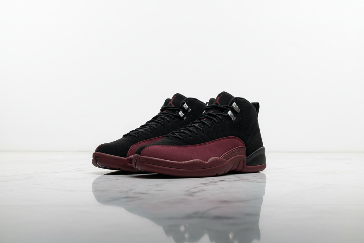 Air Jordan 12 - Toes Left Fresh