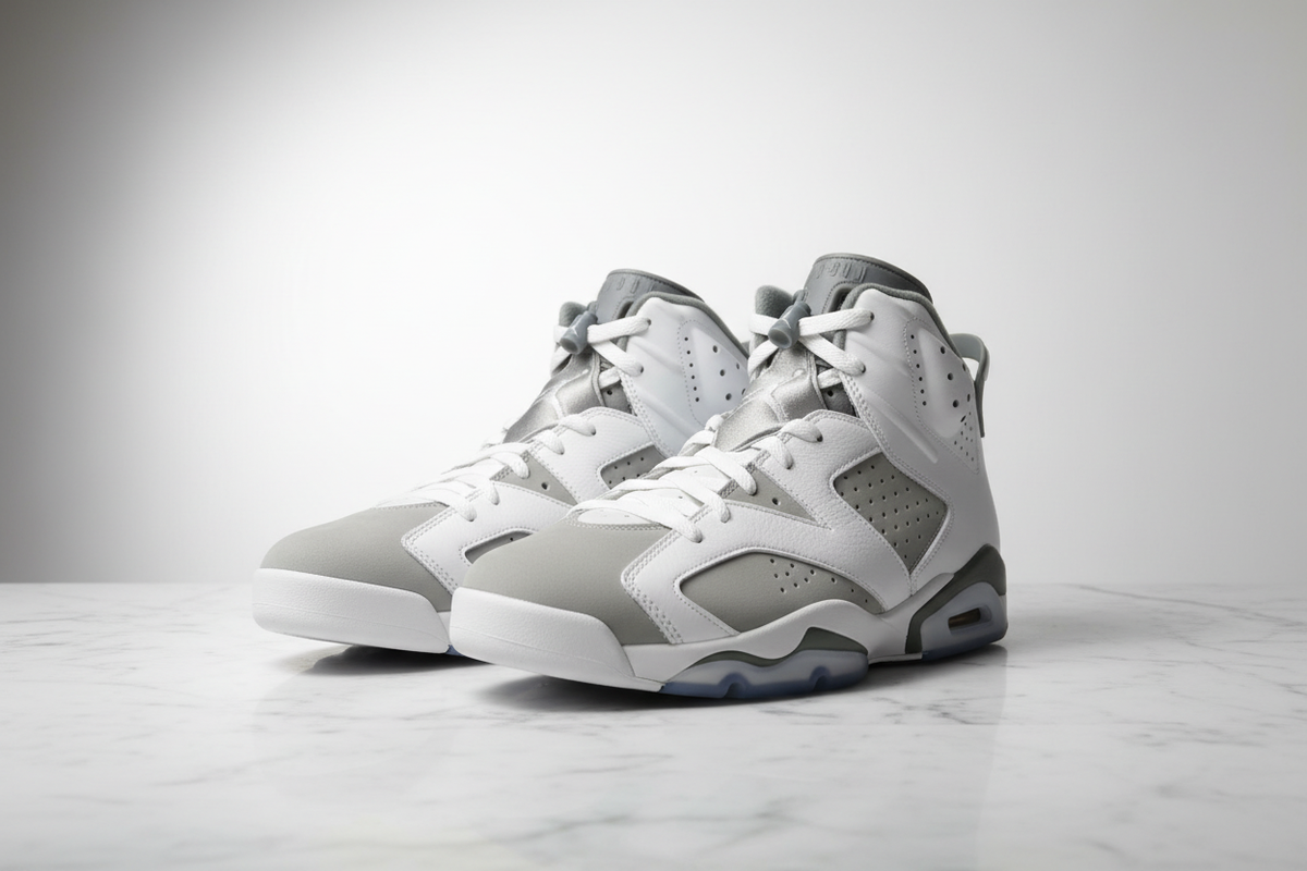 Air Jordan 6 White Cool Grey Editorial