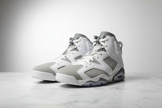 Air Jordan 6 White Cool Grey Editorial